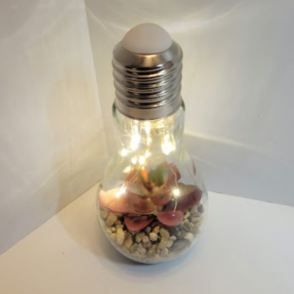 FAUX FOLIAGE TERRARUIM IN BULB WITH LED STRING LIGHTS 7"X3.5" - Picture 2 of 5